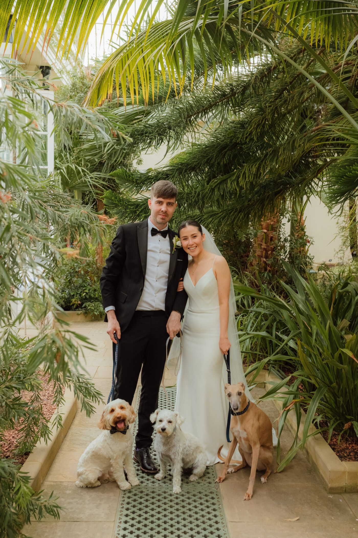 Dogs at Weddings