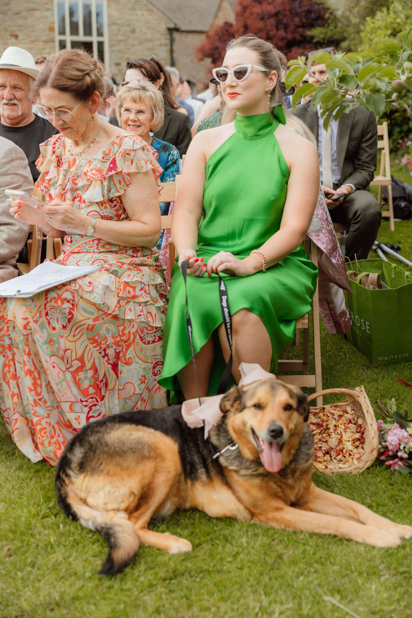 Dogs at Weddings