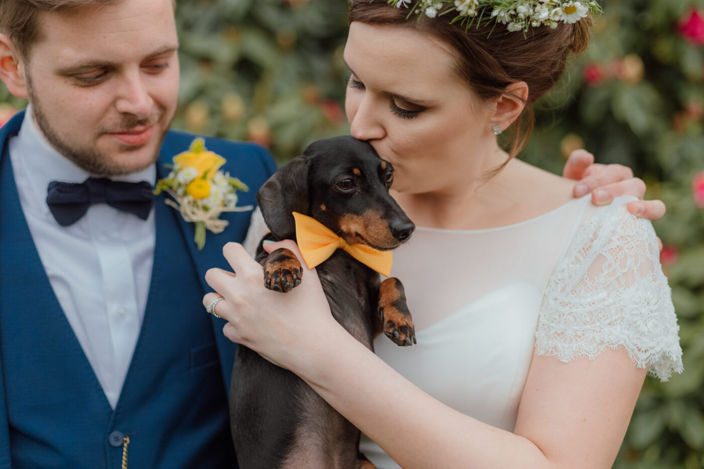 Dogs at Weddings