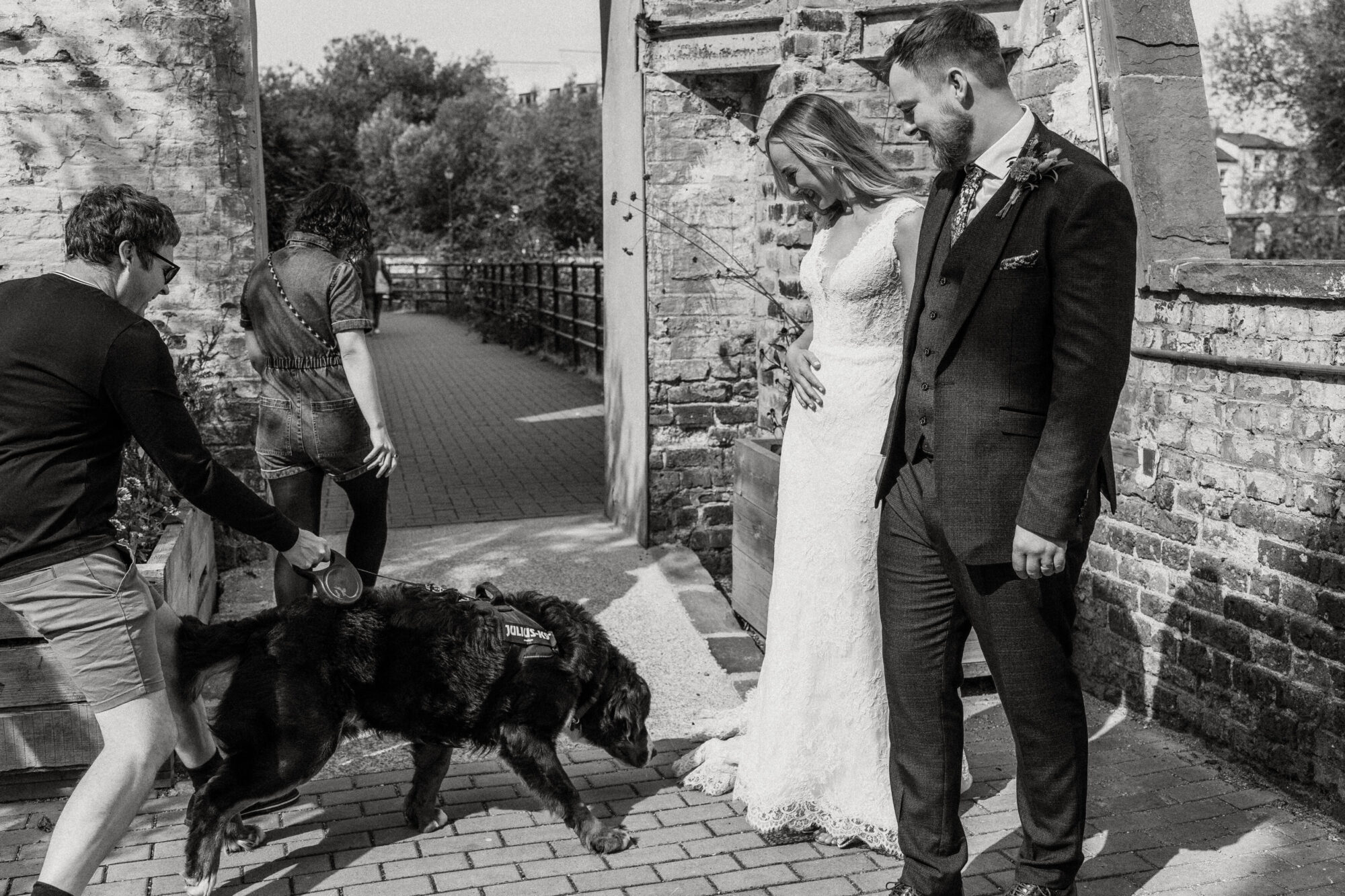 Dogs at Weddings
