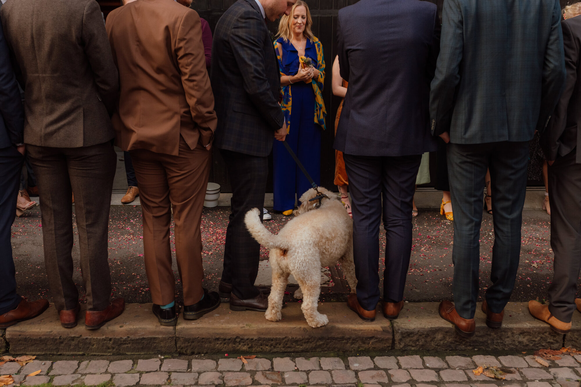 Dogs at Weddings