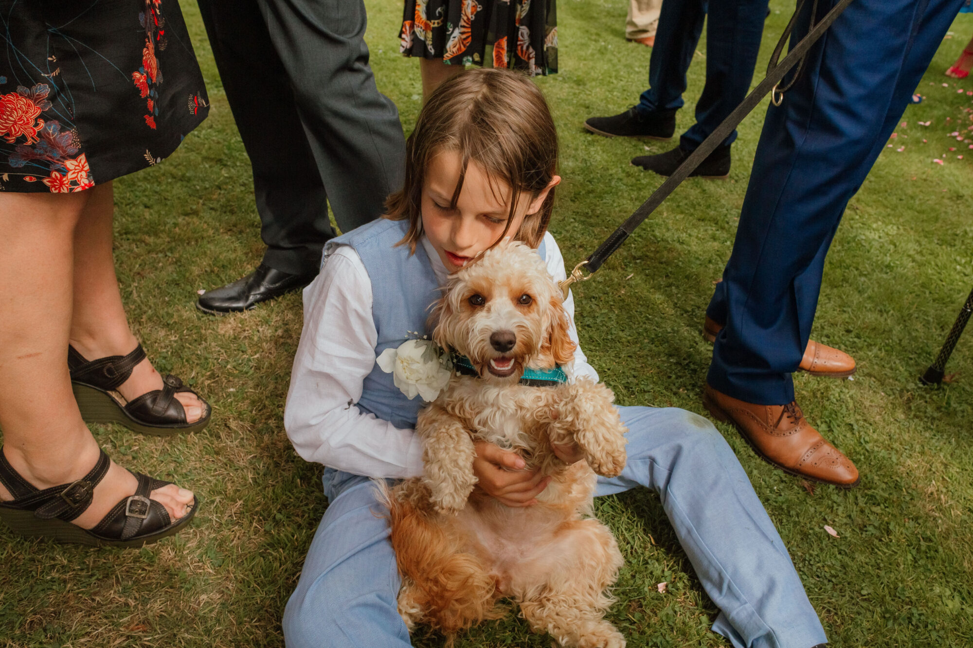 Dogs at Weddings