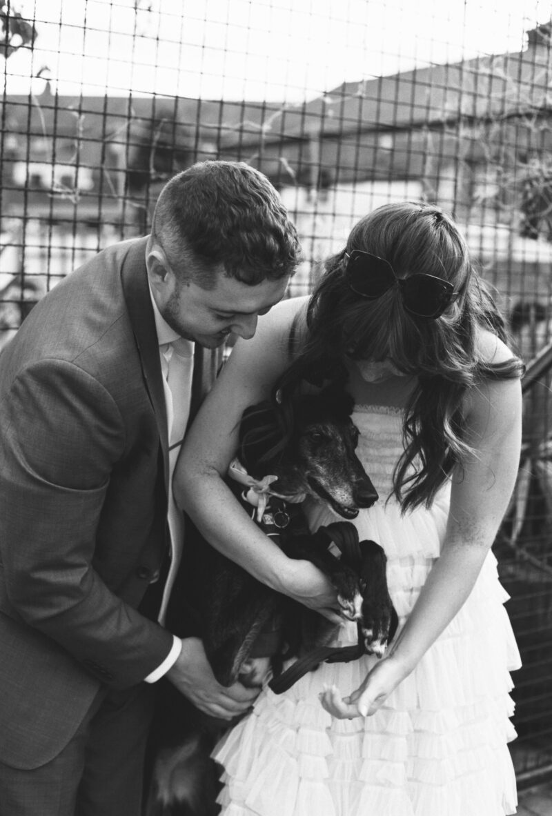 Lucia + Harry