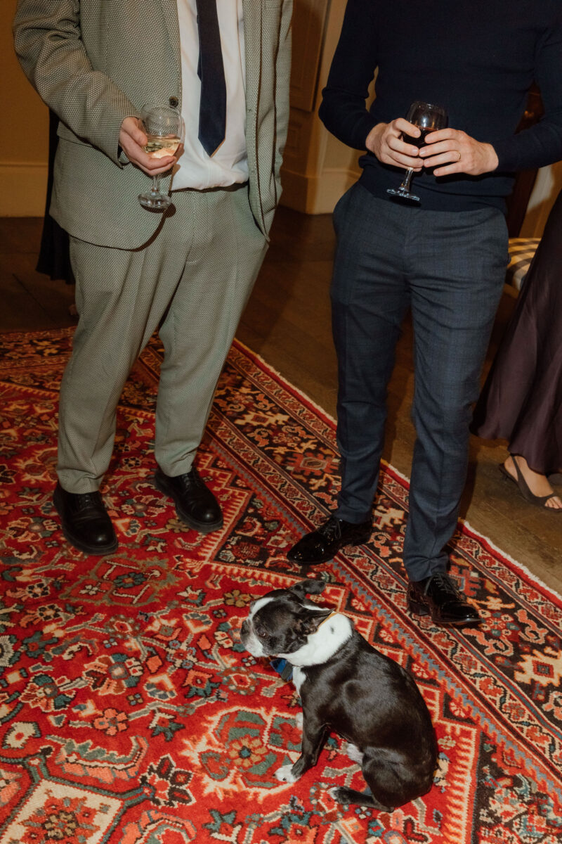 Dogs at Weddings