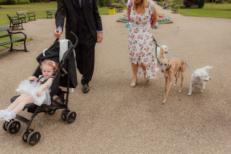 Dogs at Weddings