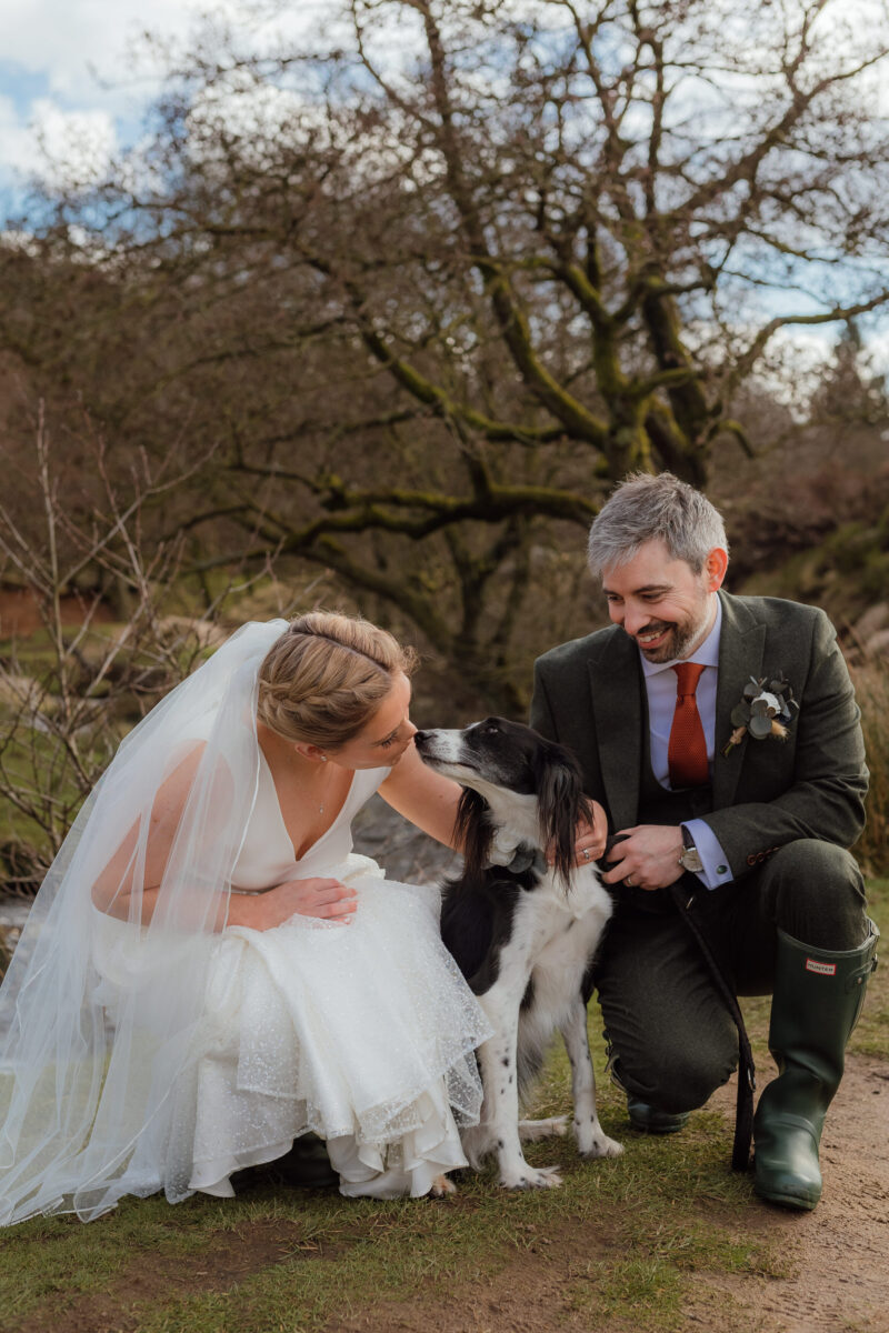 Dogs at Weddings