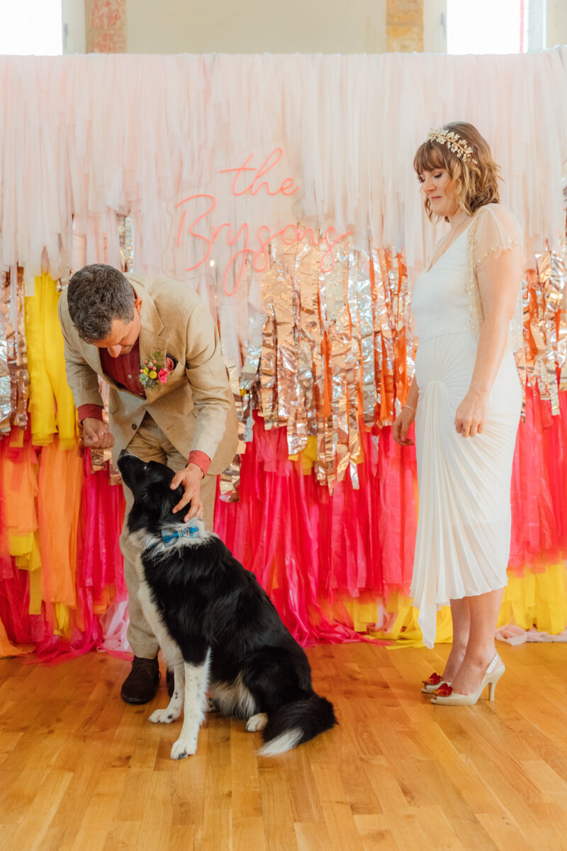 Dogs at Weddings