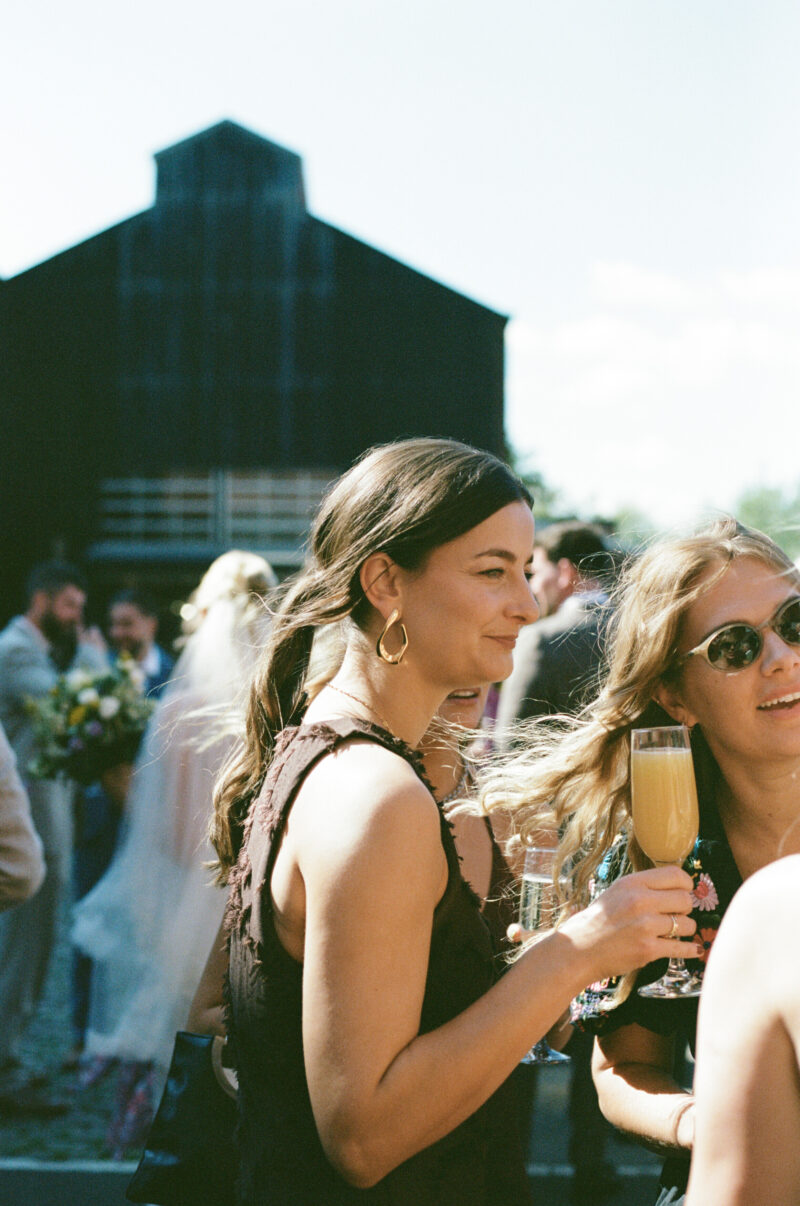 The Guests
